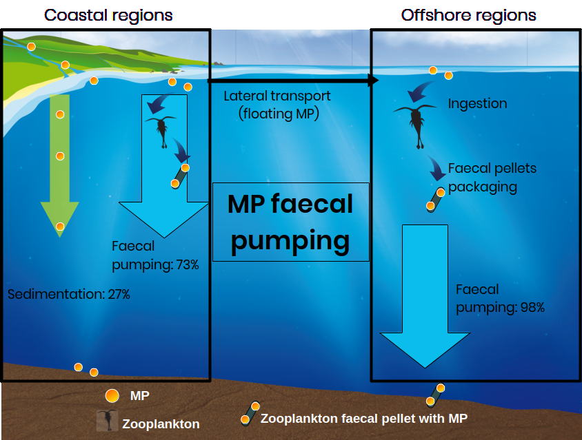 Graphical abstract of the article