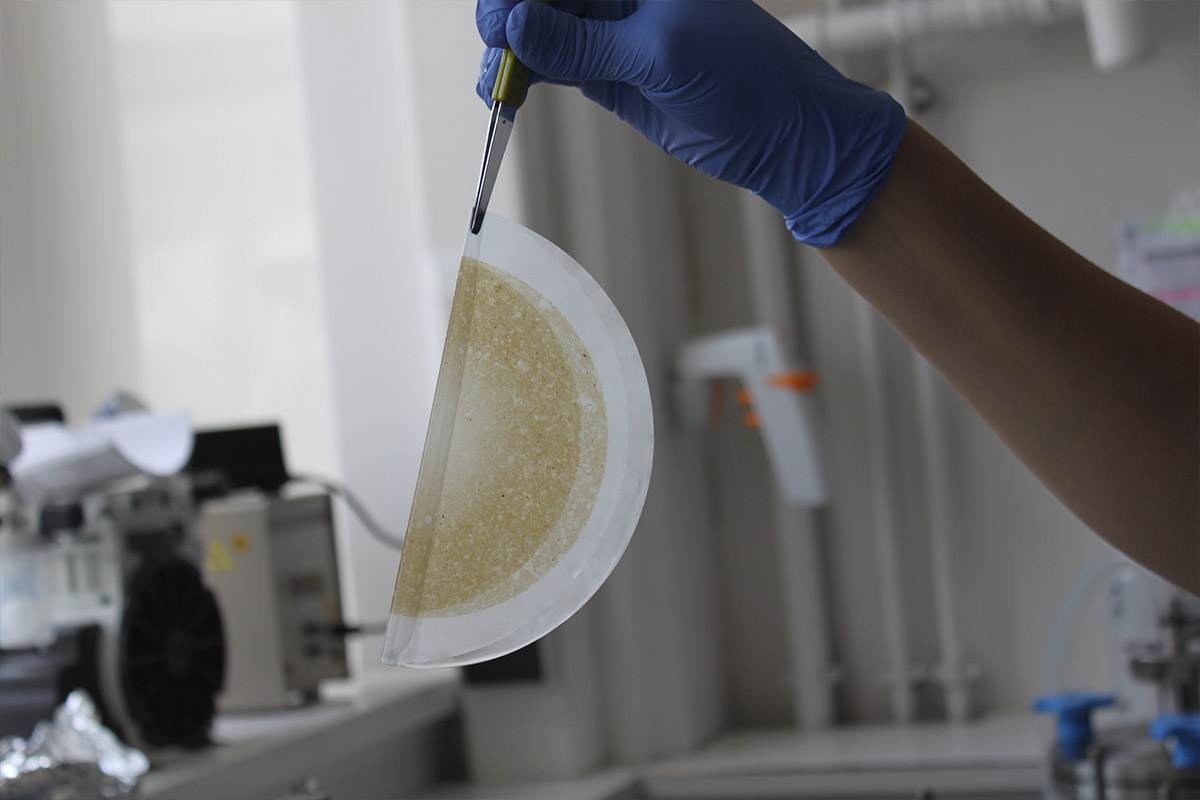 ©Clarisse Lemonnier UBO