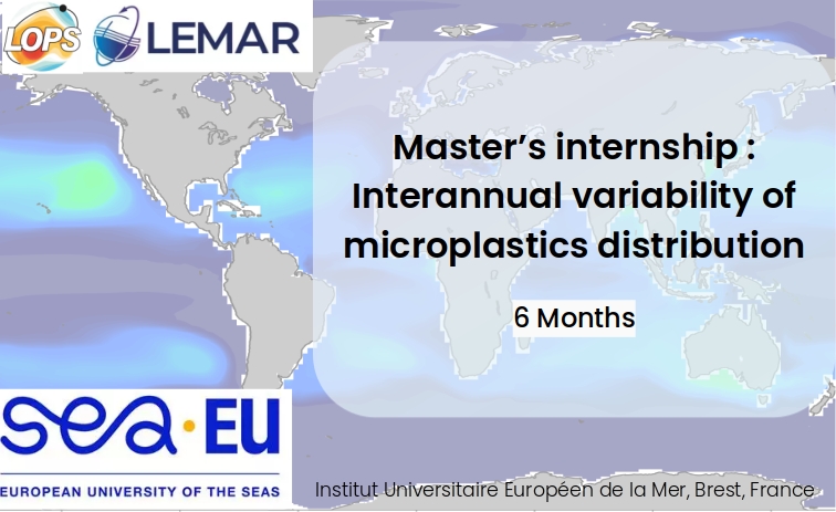 Visual description of subject